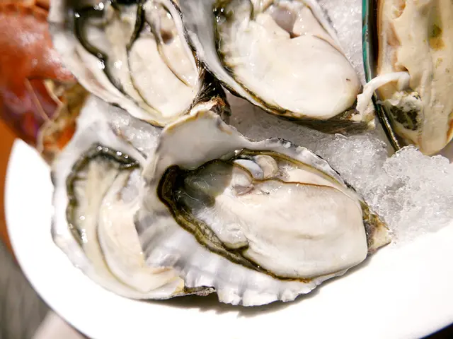 新西蘭生蠔