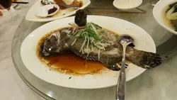 清蒸大沙巴龍躉