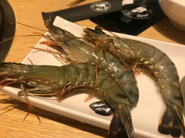 海蝦