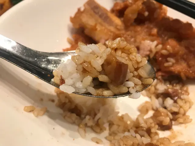 秘製豬扒飯(肉燥汁)