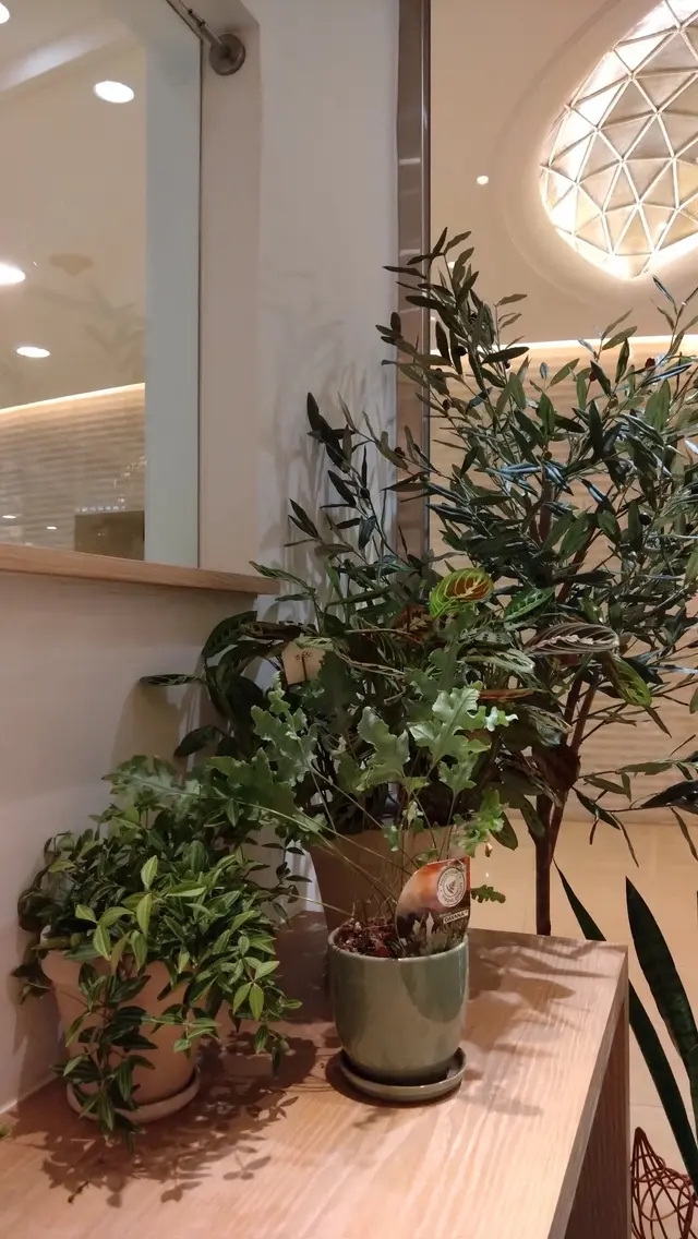 充滿生氣及花香