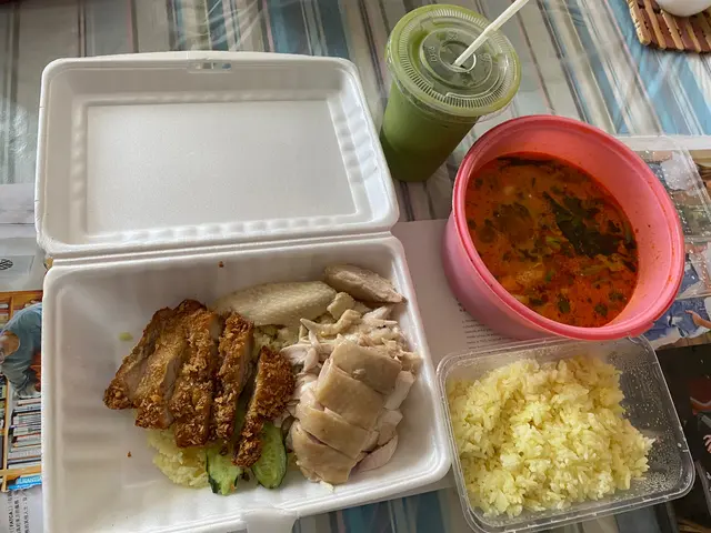 雙拼海南雞炸雞飯