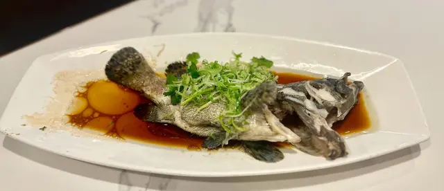 清蒸龍躉斑(約一斤)