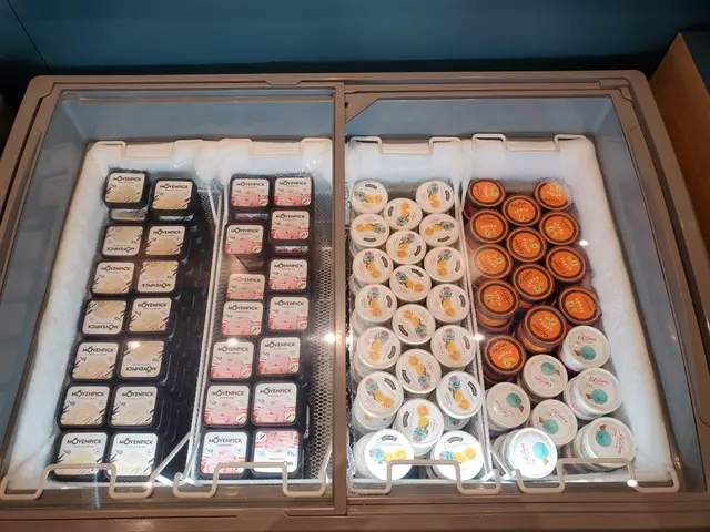 自助食品區 - 雪糕櫃