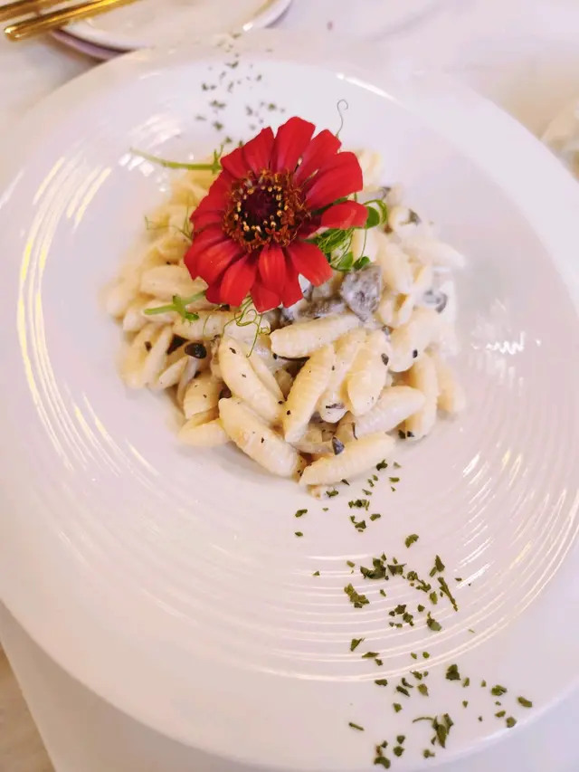 黑松露雜菌小貝殼粉