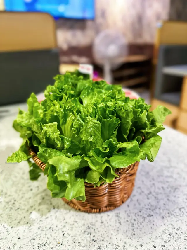 唐生菜