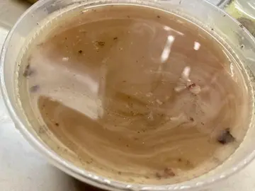 赤小豆粉葛汤
