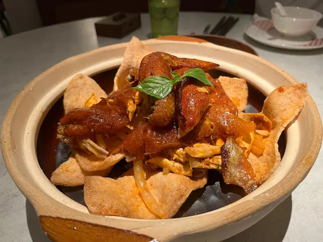 皮好脆，底有啲酸酸地嘅透明麵條