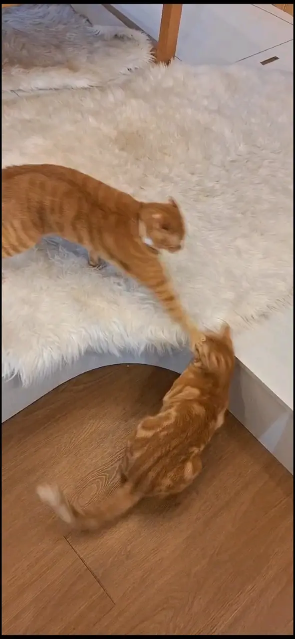 咁啱見到,都幾恐怖😱