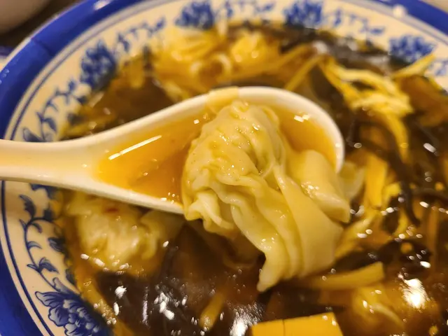 雞絲酸辣湯小雲吞