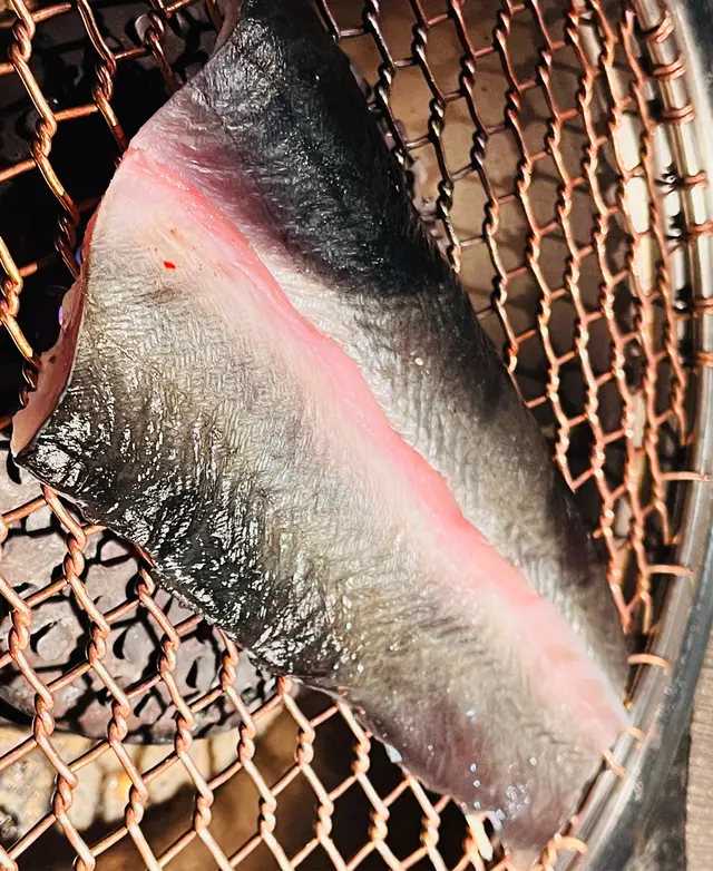 鰻魚