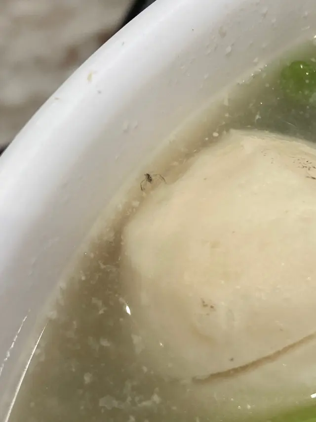 烏蠅湯米🤢🤢🤢🤢🤢🤢