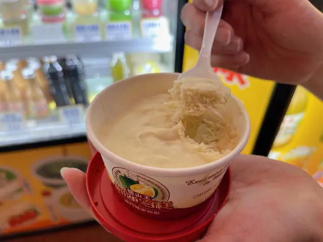 頂級貓山王榴槤雪糕