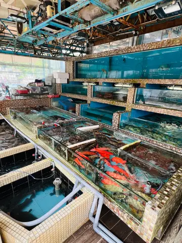 seafood  store
