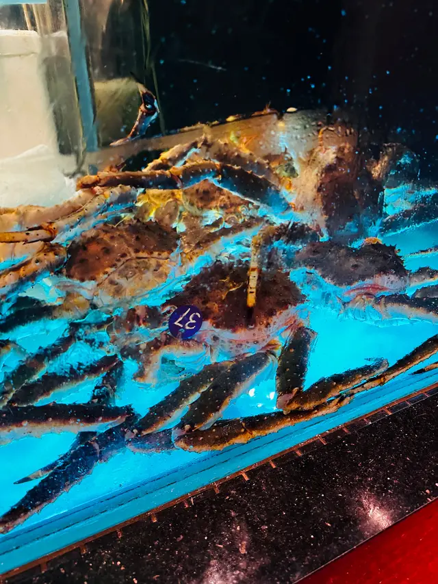 阿拉斯加長腳蟹