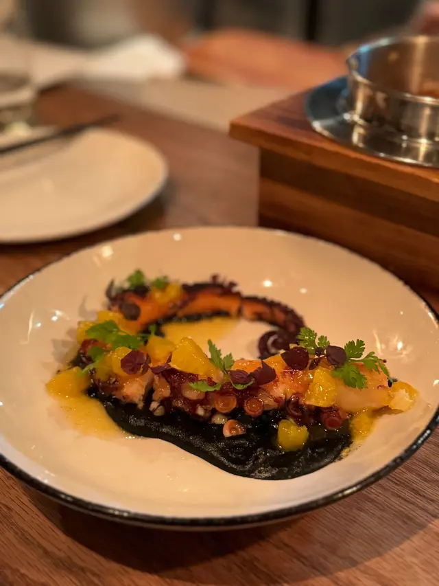 Octopus