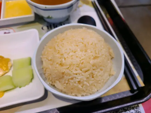海南雞飯配蟲草花雞湯