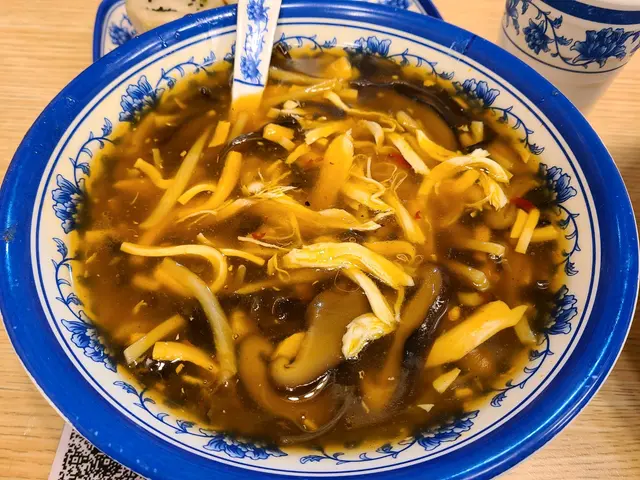 雞絲酸辣湯
