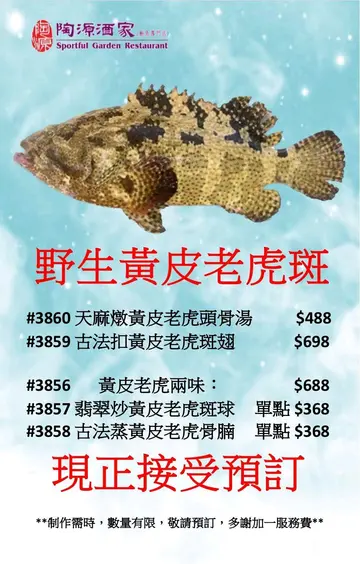 野生黃皮老虎班味道就是不同