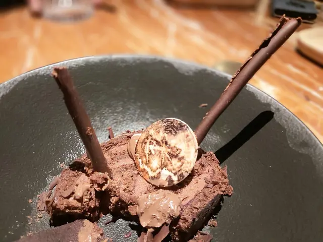 特色木化石朱古力餅