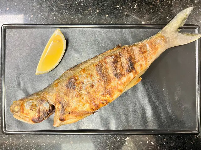 燒馬友