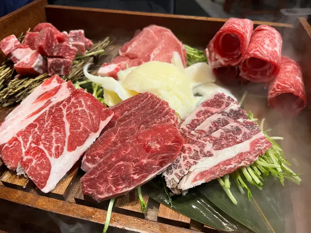 艾莎公主牛肉寶盒