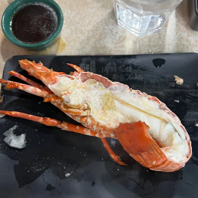澳洲青年龍蝦