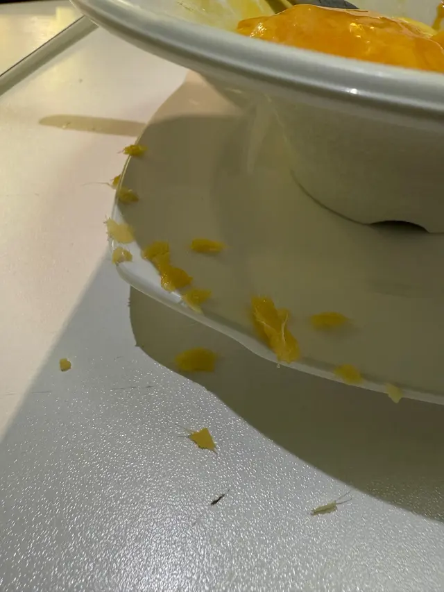 白雪公主喎