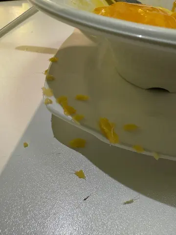 白雪公主喎