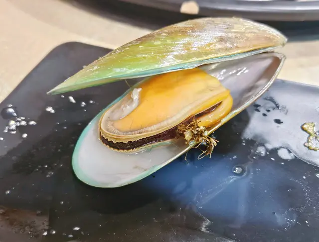 大西洋野生青口