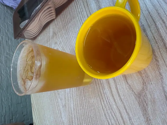 熱/凍古早冬瓜茶