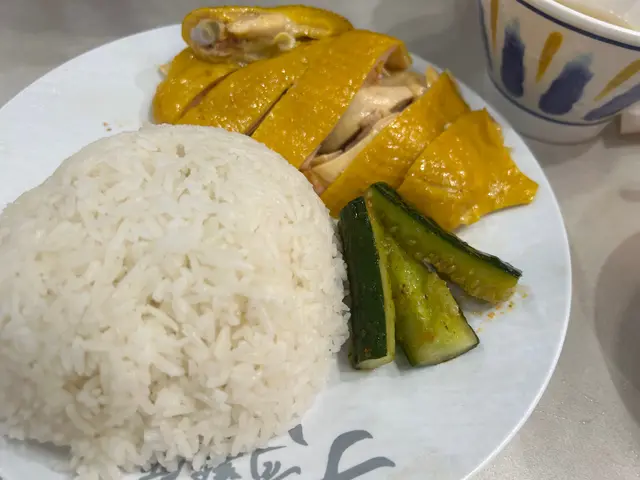 這個海南雞飯最好的就係冇骨適合老人家吃。$95是包含一個細肉骨茶，跟一個小小菜（但這個菜超細碟，基本上係用豉油碟裝的，而且啲菜好生，吾係好熟）。