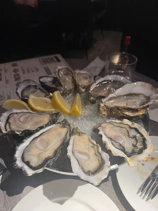 Oysters