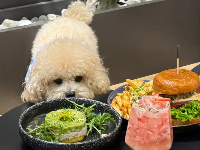芒果蟹肉牛油果沙律