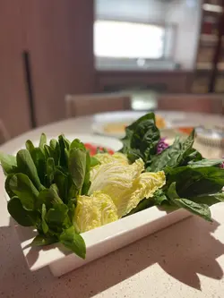 田园时蔬拼盘