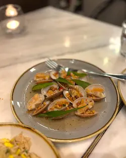 Clams
