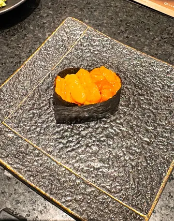 Sea Urchin