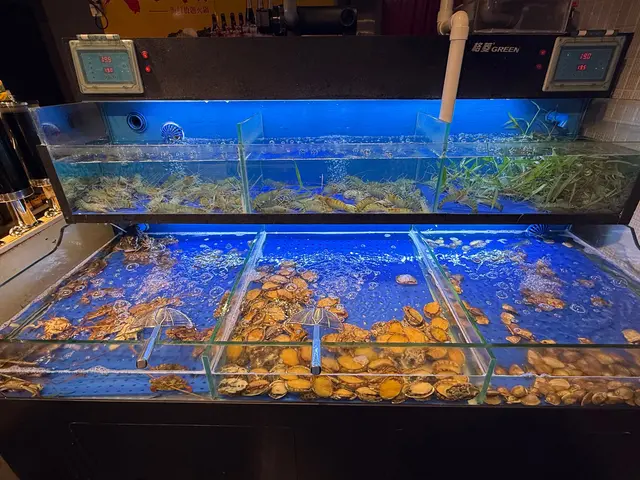 即撈海鮮