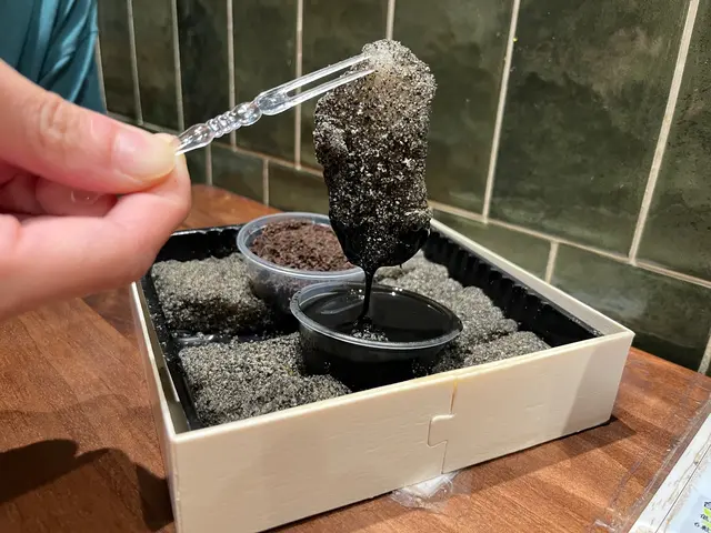 手工鮮奶蕨餅