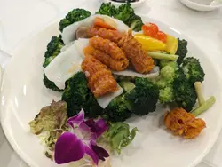 翡翠花姿珊瑚蚌