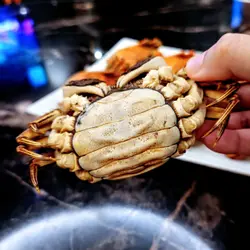大闸蟹乸