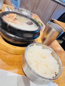人参鸡汤  (午市)