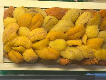 日本北海道海胆100g