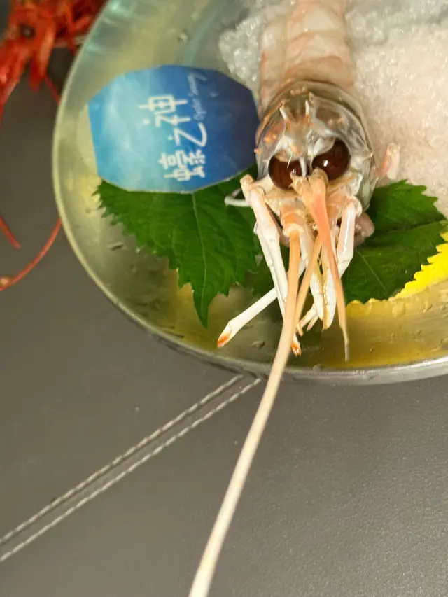 紐西蘭螯蝦 Scampi