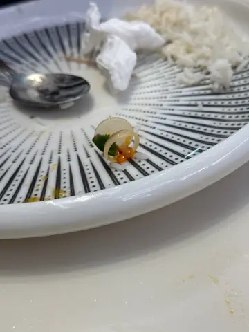 金汤酸菜生鱼片配米线