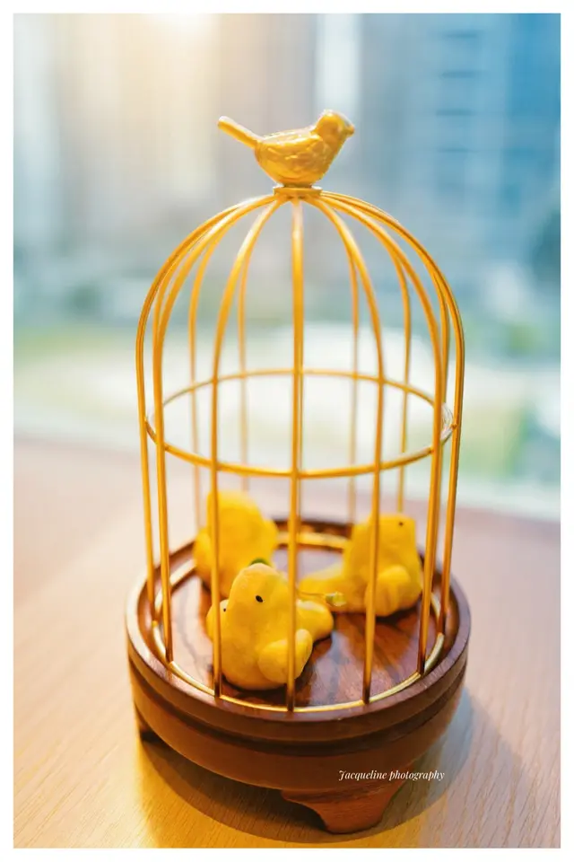 鳳梨雀仔
