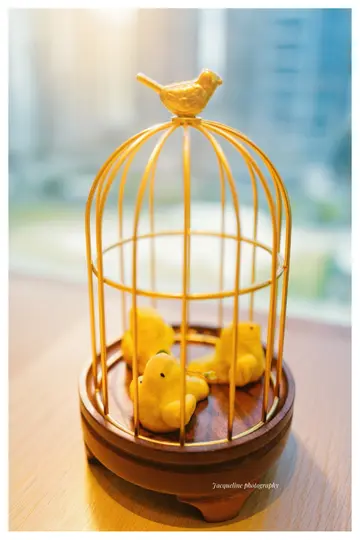 鳳梨雀仔