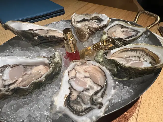 Oysters