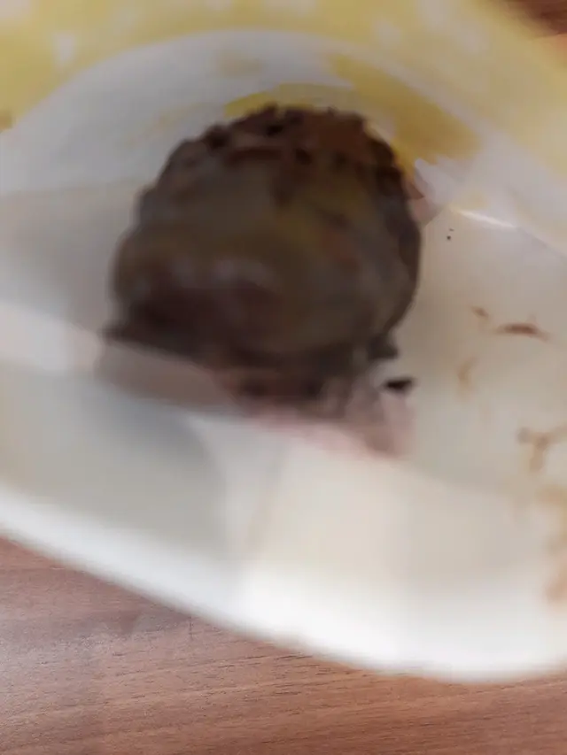 藍莓芝士味魔鬼棒棒