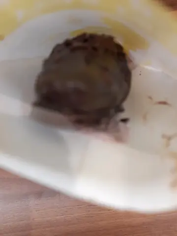 藍莓芝士味魔鬼棒棒